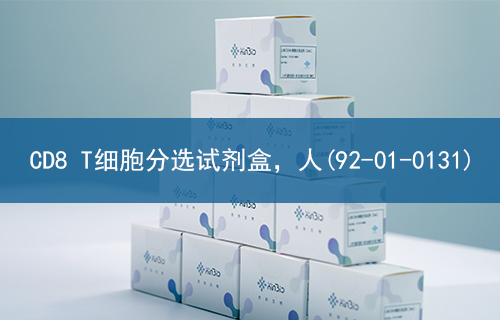CD8 T细胞分选试剂盒，人(92-01-0131)